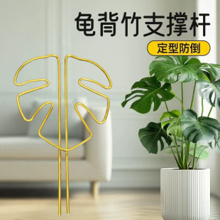 �羳�F؛��Ʒ 4���׼Ӵ��X�����������Π��ֲ��֧��