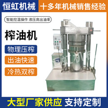 新款升级小型精炼加工压香油设备 黑白芝麻专用液压榨油机 炼油机