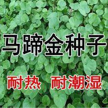 �²��R���N�����l���X��ƺ�ͺ������͟��҃Ȼ��@���X���~�X�ݷN