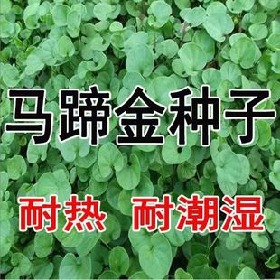 �²��R���N�����l���X��ƺ�ͺ������͟��҃Ȼ��@���X���~�X�ݷN