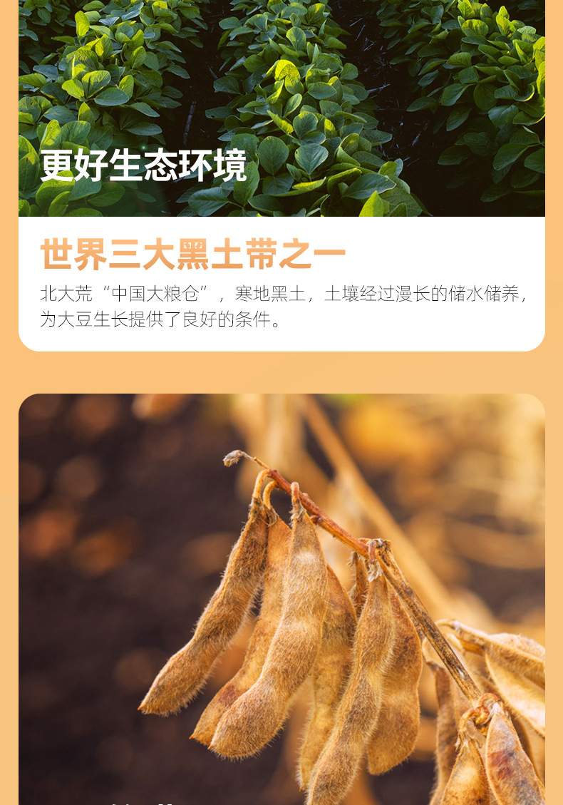 黑豆豆浆-详情_11.jpg
