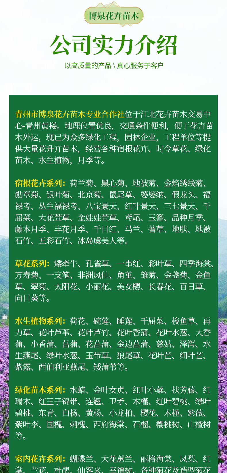 5-套版(欧石竹)_08