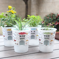 クリエイティブミニ小型鉢植え学生緑の植物鉢植え屋内子供の小さなギフト鉢植え本物の花の植栽卸売