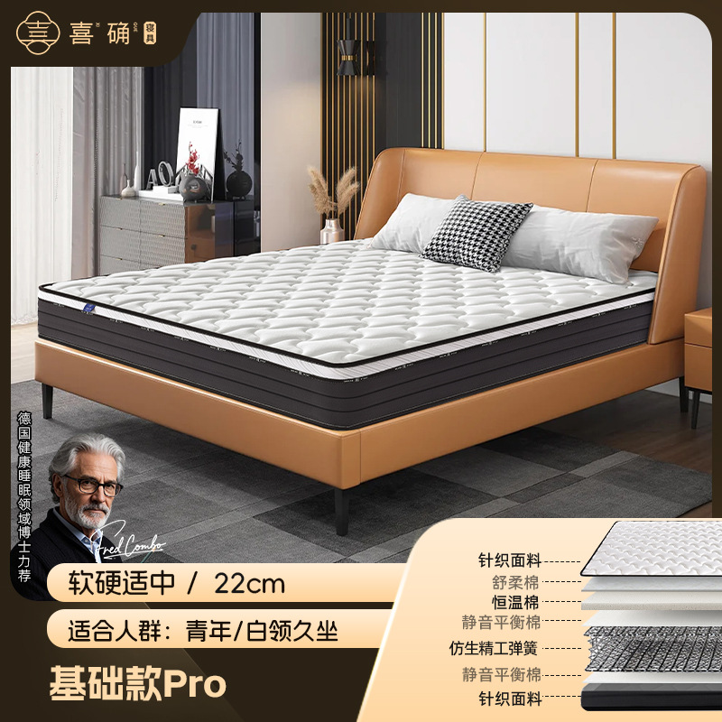 Classic model: basic guest room [moderately soft and hard/22cm thick]
