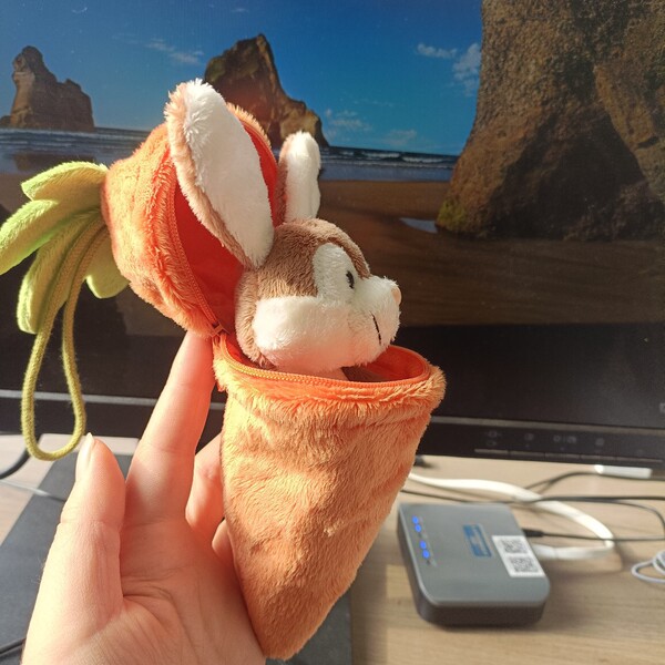 Plush rabbit