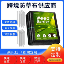 防草布跨境现货果园除草布农用透水透气地布黑色pp遮草布地膜
