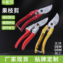 厂家现货家用绿化修剪工具果树摘果剪园林剪花园艺剪果枝剪修枝剪