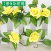 9 rose gamma yellow