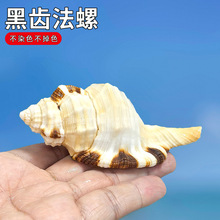 ������X����ϡ�پ�������ؐ���ղغ���˱��Ҿ��b[���Y��