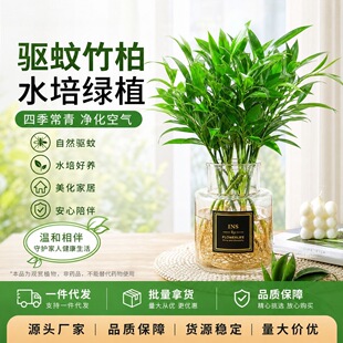 �҃ȿ͏dˮ�B�Gֲ�ļ����B��������ˮ��ֲ�ﻨ��ˮ�����������