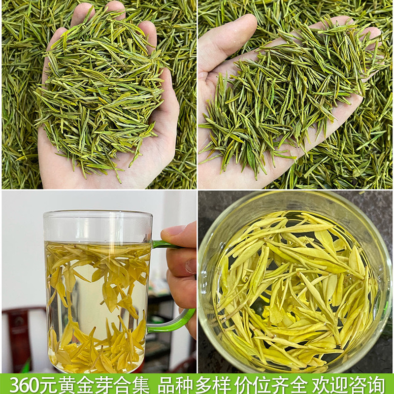 浙江2025年新茶明前茶春茶緑茶安吉工芸濃香型黄金芽茶葉卸売りバラ|undefined