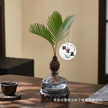 ˮ���F�������k���������辰���B�׻��ݗ��Ȥζ�U���辰ˮ�Bֲ��