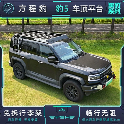 Suitable for Equinox Leopard 5 Roof Platform Special Roof Expansion Equipped with Modified Car Travel Rack Luggage Frame