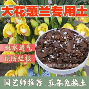 ��ޥ�m�����m��ֲ�ϠI�B�������ɘ�Ƥ�Nֲ�w�����l�ͻ��|���[��