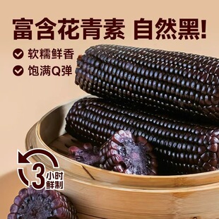 �|����Ŵ��������b���D��������װ�Ŵ���ճ���׸��������ش���