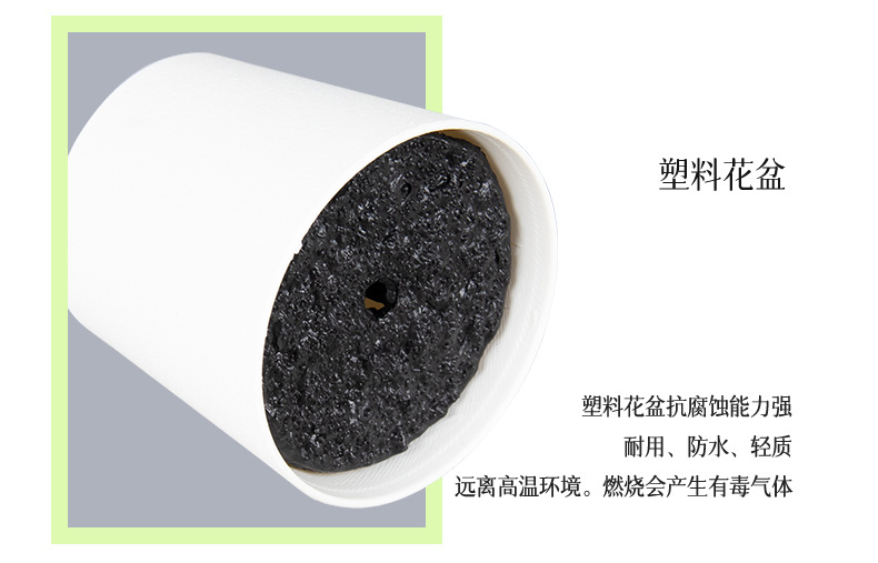 1203塑料详情页 (14).jpg