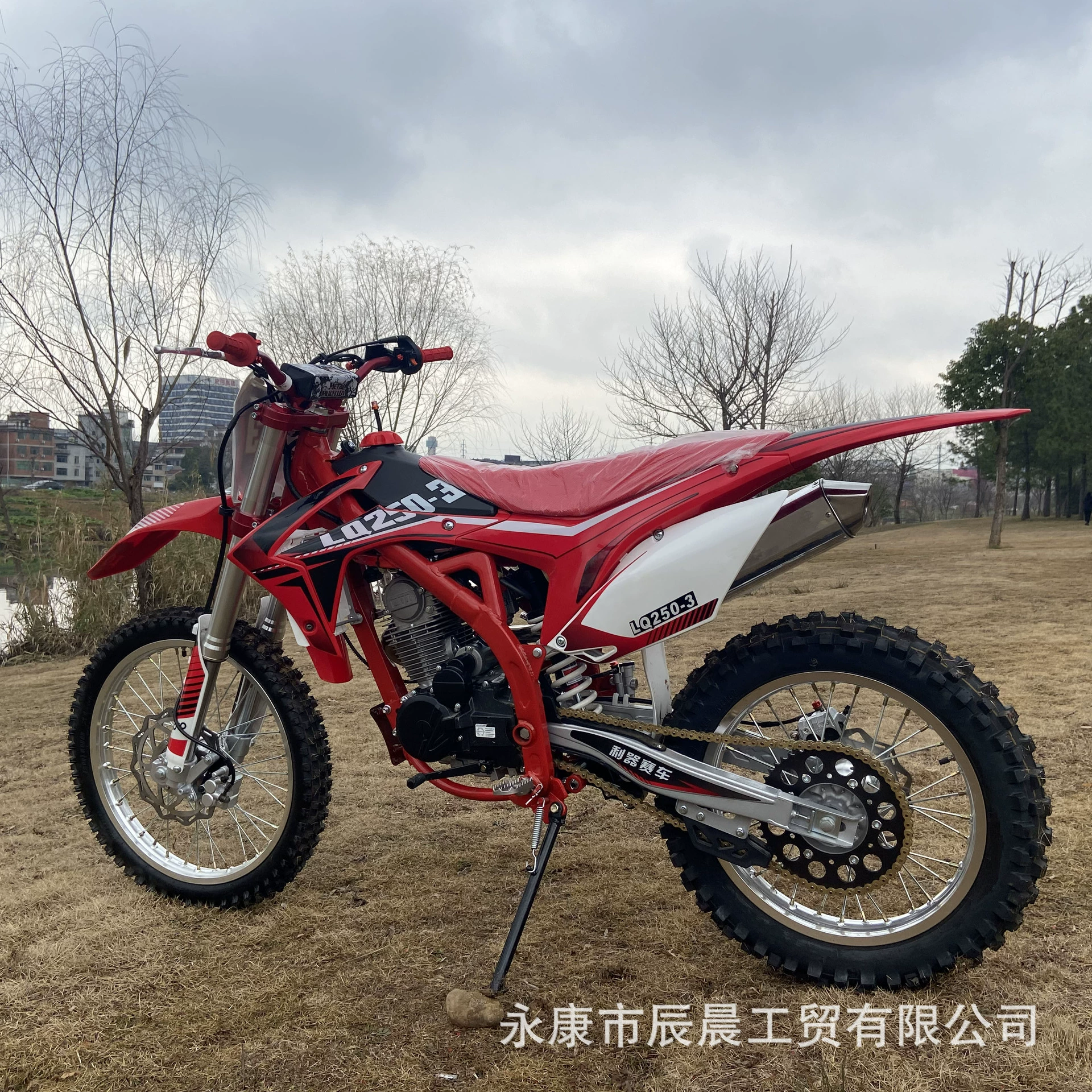 Мотокросс 250cc Взрослый внедорожник на двух колесах, внедорожный мотоциклетный автомобиль