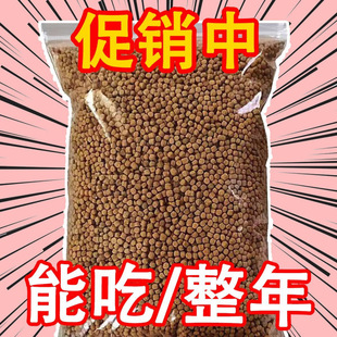 Turtle High Calcium Feed Shrimp Dried Turtle Food Turtle Food Brazilian Turtle Grass Turtle Food General Food Special Young Turtle Household Turtle Food