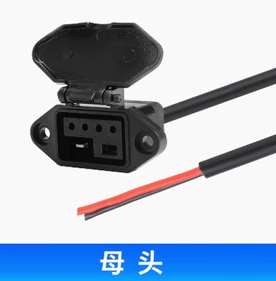 electric car pure copper, Other Electric Vehicle Accessories - female-seat-20cm