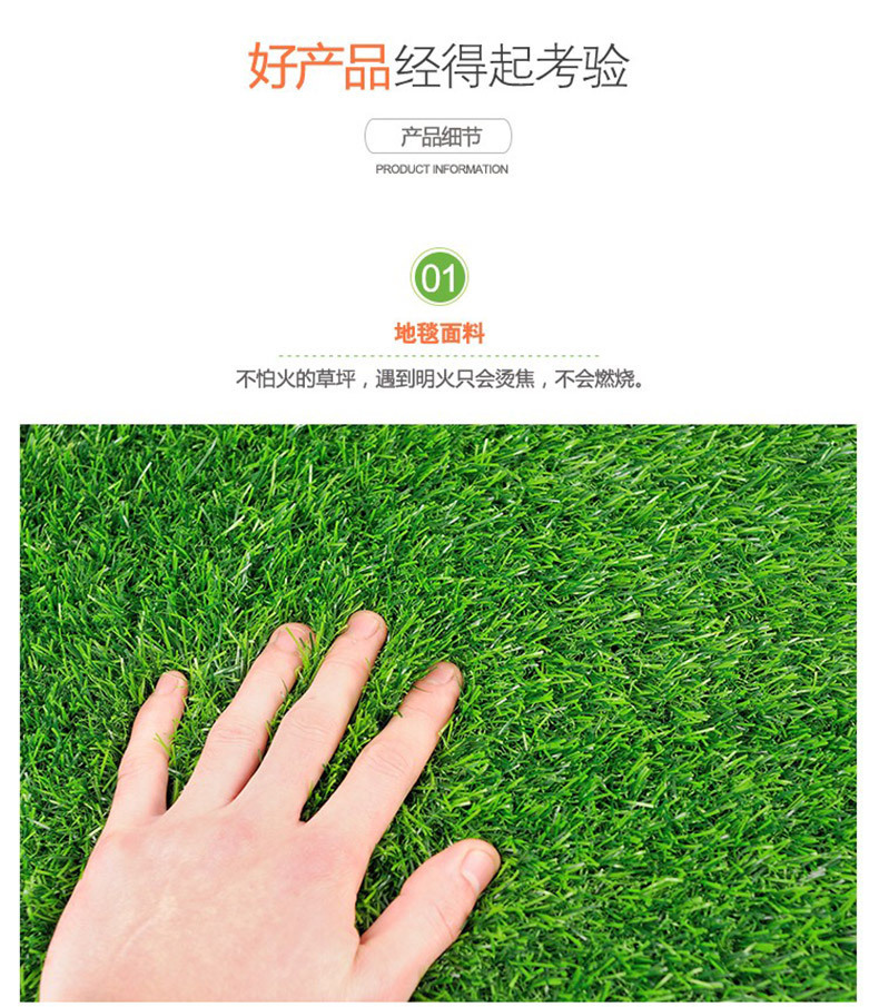 阿里地毯草详情 (9)