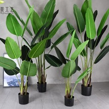 高仿北欧装饰植物天堂鸟人造树落地客厅布景花园橱窗仿真旅人蕉