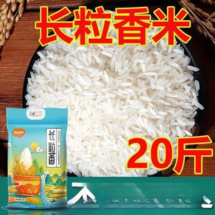����10һ��20���L�����������z���׵����؈�������10�����lȺľ