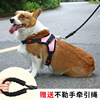 Dog traction pet chest strap outdoor walking dog explosion dog explosion dog chain small, middle large dog pet supplies