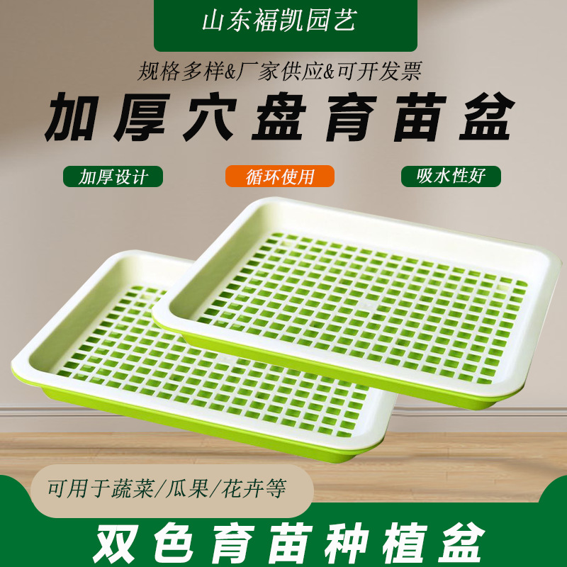 定制育苗专用加厚穴盘双层家用水培芽苗菜豆芽无土栽培大号育苗盘