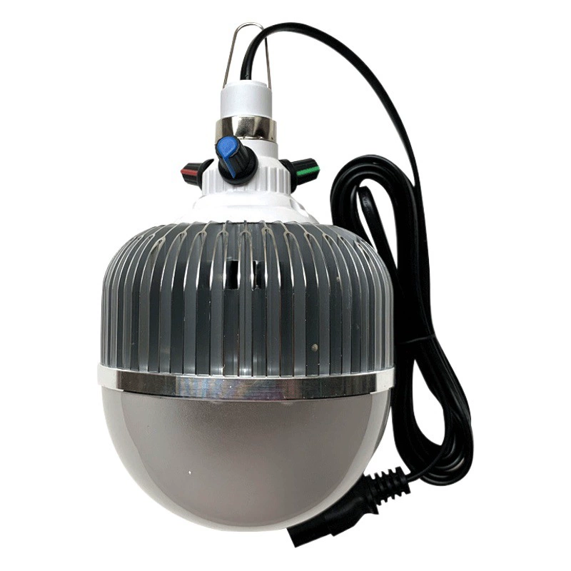 12 В цветная лампа для фруктов 48 В аккумулятор автомобиль изменение цвета низкое напряжение 12-85 В свежеприготовленная еда осветительная лампа 3 ручки