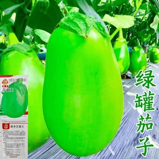 �߮a�����ӷN������G���ӾG���ѷN���ļ��߲˷N���ͺ�������˷N