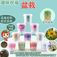 ���⃺ͯ�NֲС����ֲ��ä���׃��@�W���Y���҃�����N�ӾGֲ����