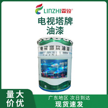 新品电视塔牌油漆多种颜色漆护栏金属机械钢结构防锈化工油漆涂料