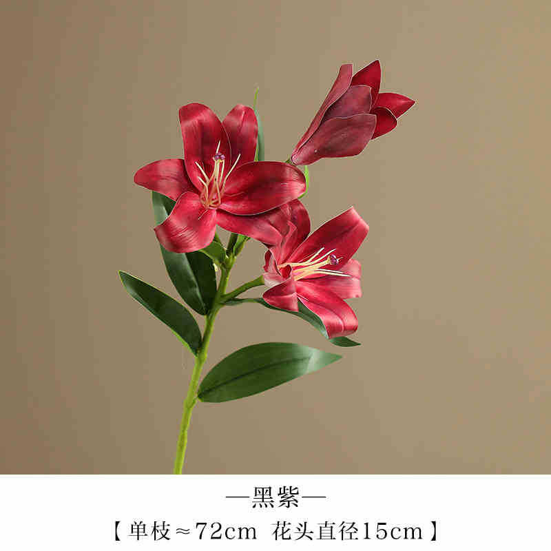 검정색 보라색