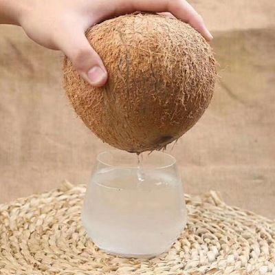Hainan Coconut Juice fresh Coconut fruit Soup Coconut milk whole country Full container Copra wholesale