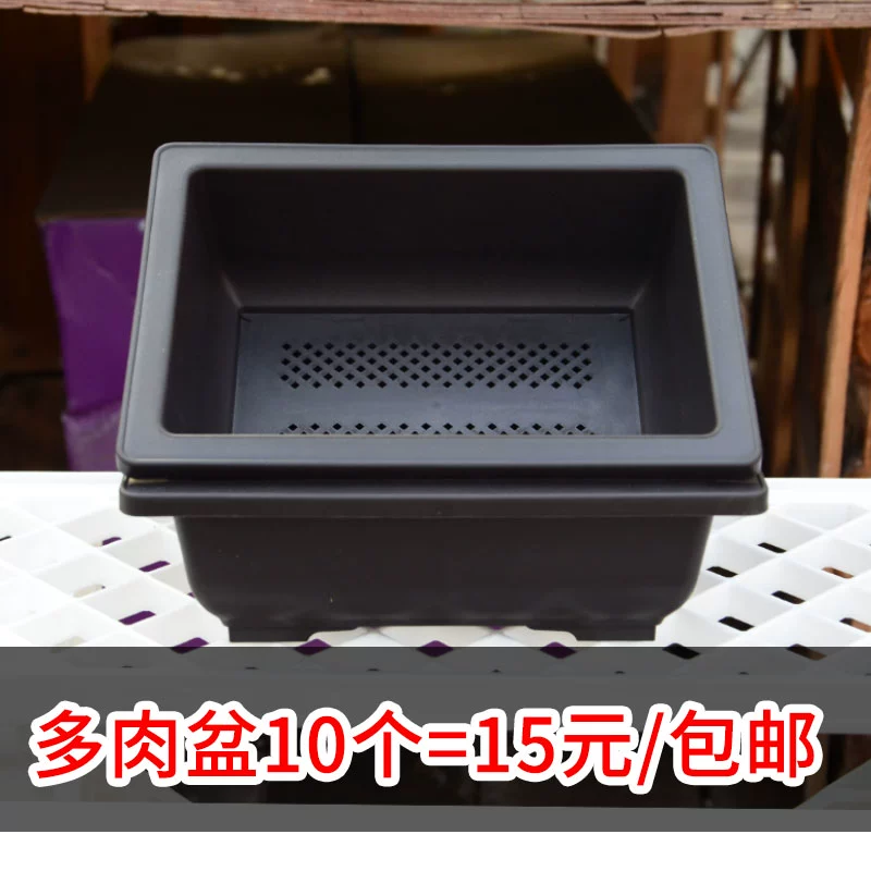 Каменный цветочный горшок пластиковый имитационный фиолетовый песочный горшок мясистый прямоугольный утолщение матовый посев рассадный горшок коричневый горшок бонсай