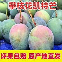 �Ĵ���֦���P��â�����rˮ�������P��â���]��Ƥâ����֦��â���o