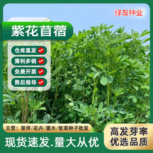 lϻޣNiţuZBֳޣ~ݷN