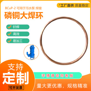 ���� BCuP-2���~�Ͻ𺸭h��A�h �A�����~���S�~���~ ��ˮ�ú���