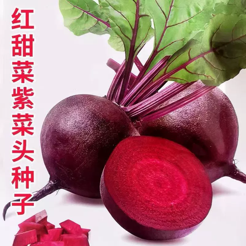 Семена красной свеклы, голландские водоросли Aike, рапсовое семя, импортные семена для всех сезонов (весна, осень, зима), семена редиса
