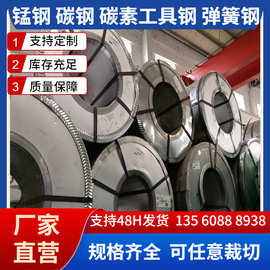 S50C厂家直销 S50C批量销售 S50C弹簧钢带 S50C板料 弹簧钢板S50C