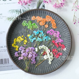 干花;贺卡;永生花