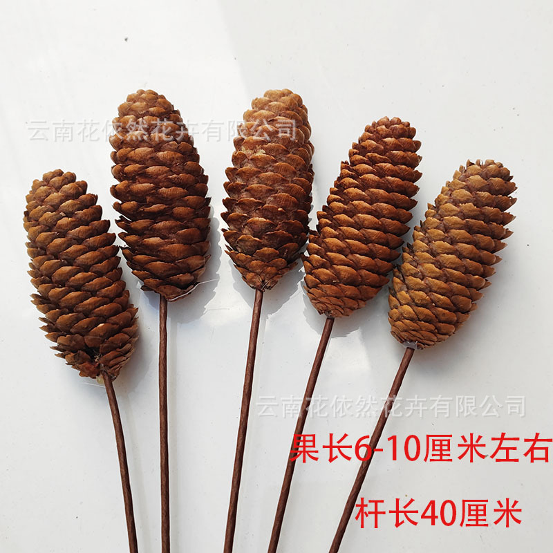 Flor seca Flor eterna Gypsophila Bola de oro No me olvides Flor seca Rosa hoja de eucalipto Pine Fruit Lover Grass al por mayor