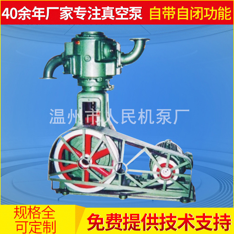 厂家推荐铸铁低消耗WL-70立式真空泵  无油往复式干式真空泵