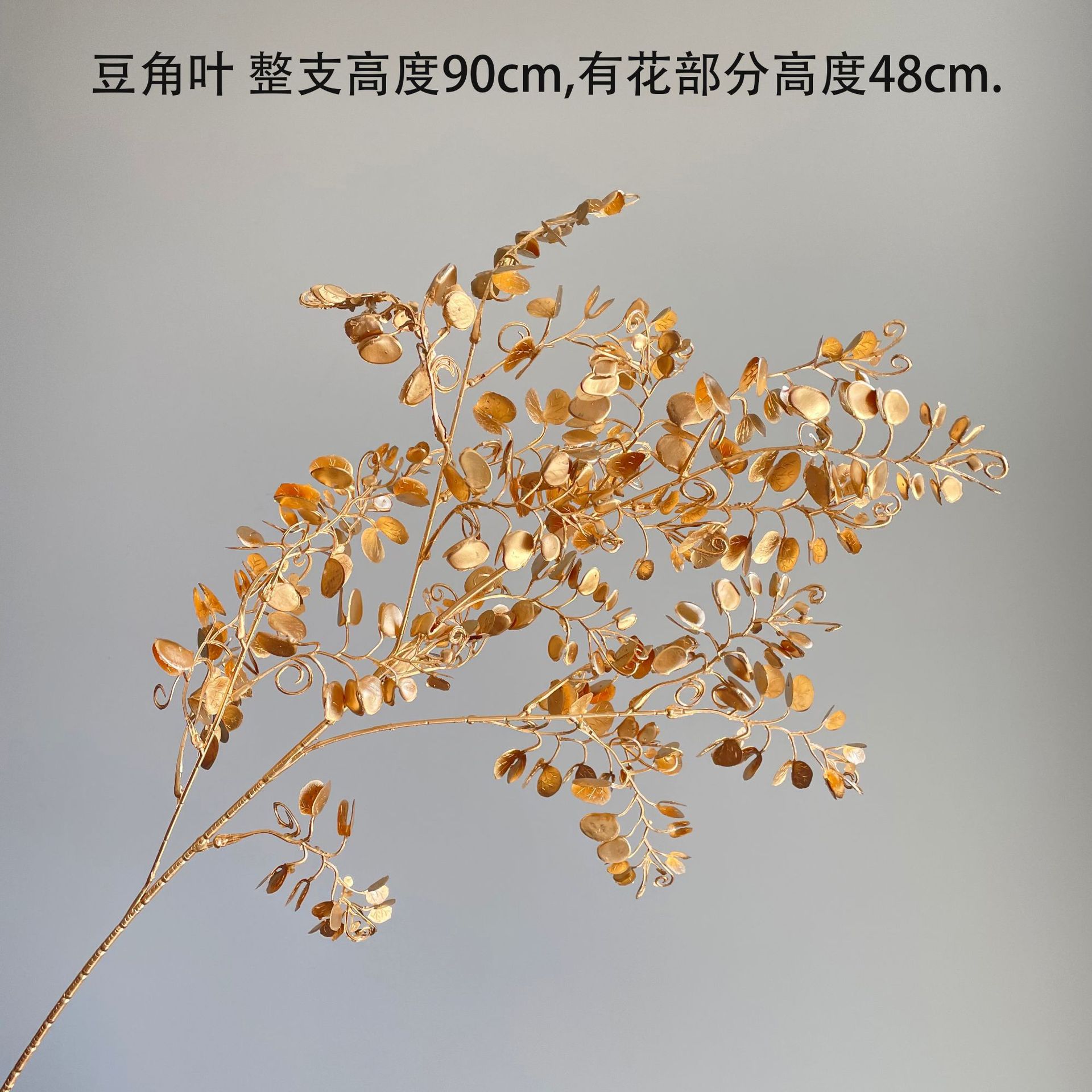 콩잎