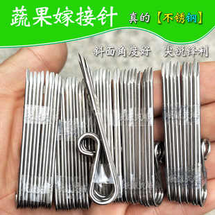 ������޽�ᘼ޽ӳ��W�߹�������������߲�ѿ�ӵ��޽ӵ�