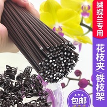 m֧܊Aӌù̶Fz@ˇֲ֧ΗU