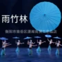 儿童走秀表演演出舞蹈伞