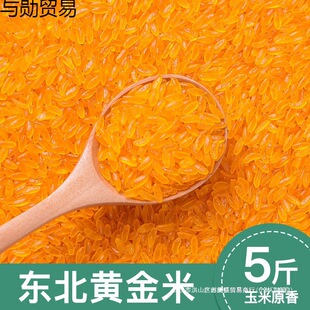 �|���S���״ּZ�������ľG���������׸ߜغ決����5��ԔҊ���b