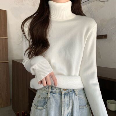 High collar sweater Base coat Autumn and winter 2022 new pattern one Plush Long sleeve Socket Sweater Women's wear Korean Edition