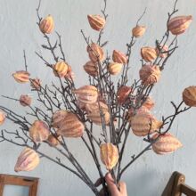 �Wʽ���ƹ���֦���Ӽٹ�����������ͮ��Lܛ�b��������\�����l